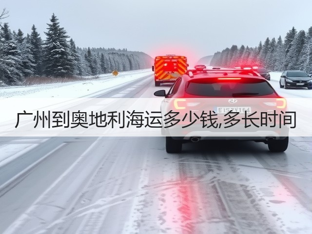 广州到奥地利海运多少钱,多长时间(图3) 广州到奥地利海运多少钱,多长时间(图3)