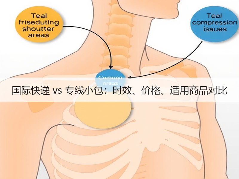 国际快递 vs 专线小包:时效、价格、适用商品对比 国际快递 vs 专线小包:时效、价格、适用商品对比
