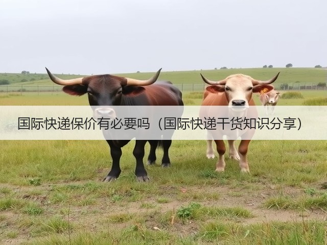 国际快递保价有必要吗（国际快递干货知识分享）(图2)