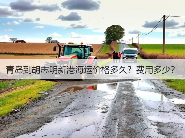 青岛到胡志明新港海运价格多久?费用多少?(图3) 青岛到胡志明新港海运价格多久?费用多少?(图3)