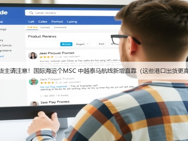 中国货主请注意!国际海运个MSC 中越泰马航线新增直靠(这些港口出货更高效)(图3) 中国货主请注意!国际海运个MSC 中越泰马航线新增直靠(这些港口出货更高效)(图3)