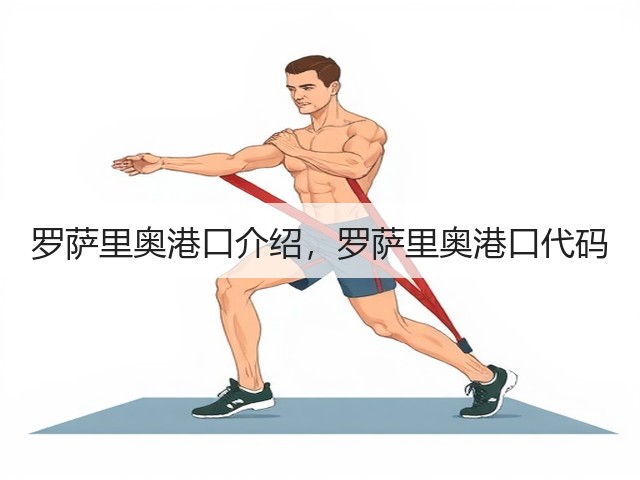 罗萨里奥港口介绍，罗萨里奥港口代码(图2)