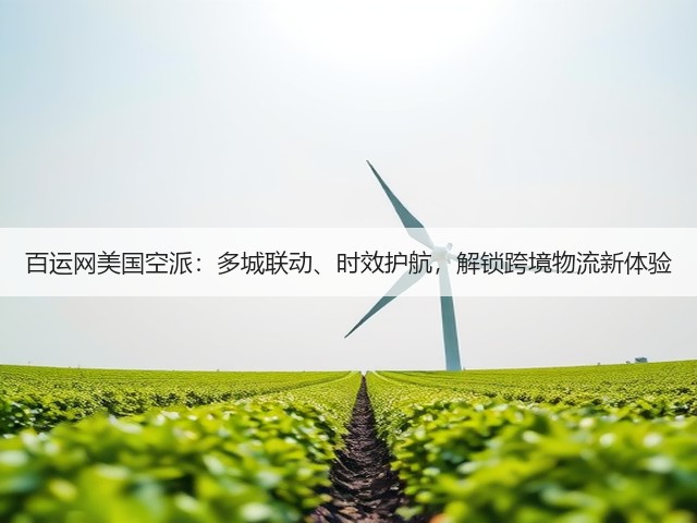 百运网美国空派:多城联动、时效护航,解锁跨境物流新体验(图2) 百运网美国空派:多城联动、时效护航,解锁跨境物流新体验(图2)