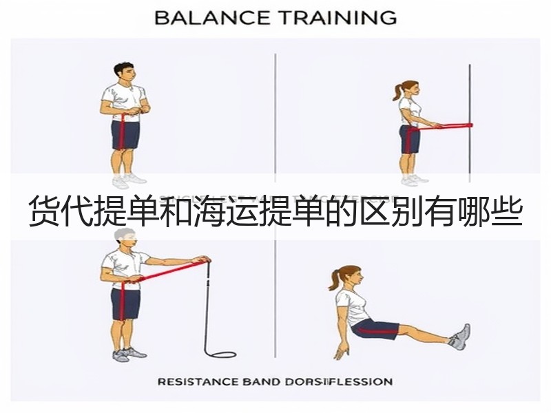 货代提单和海运提单的区别有哪些 货代提单和海运提单的区别有哪些
