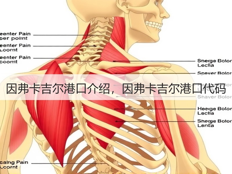 因弗卡吉尔港口介绍，因弗卡吉尔港口代码