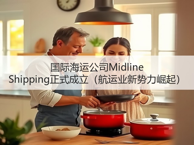国际海运公司Midline Shipping正式成立(航运业新势力崛起)(图3) 国际海运公司Midline Shipping正式成立(航运业新势力崛起)(图3)