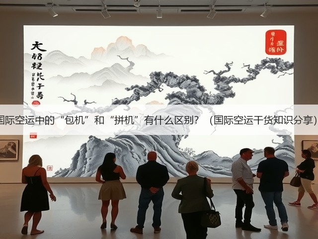 国际空运中的“包机”和“拼机”有什么区别?(国际空运干货知识分享)(图1) 国际空运中的“包机”和“拼机”有什么区别?(国际空运干货知识分享)(图1)