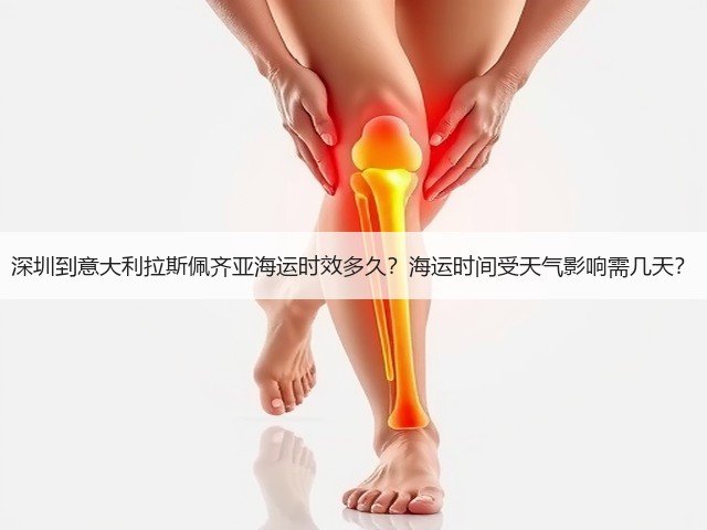 深圳到意大利拉斯佩齐亚海运时效多久?海运时间受天气影响需几天?(图3) 深圳到意大利拉斯佩齐亚海运时效多久?海运时间受天气影响需几天?(图3)