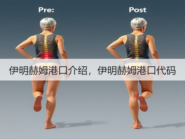 伊明赫姆港口介绍,伊明赫姆港口代码(图2) 伊明赫姆港口介绍,伊明赫姆港口代码(图2)