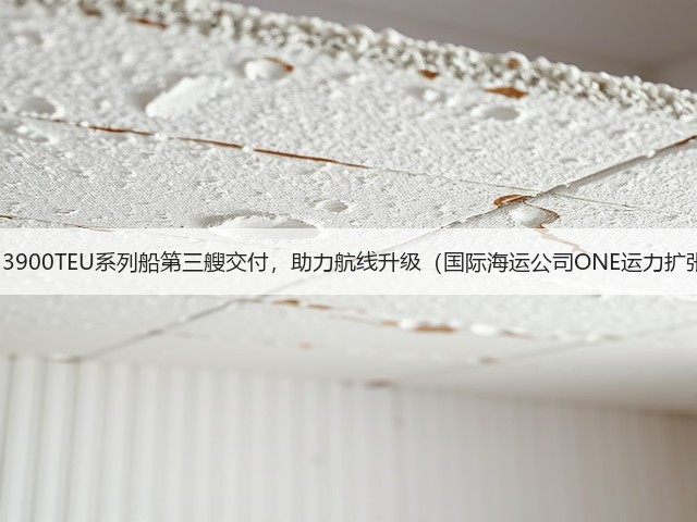 今治造船13900TEU系列船第三艘交付,助力航线升级(国际海运公司ONE运力扩张再提速)(图3) 今治造船13900TEU系列船第三艘交付,助力航线升级(国际海运公司ONE运力扩张再提速)(图3)