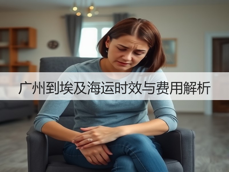 广州到埃及海运时效与费用解析 广州到埃及海运时效与费用解析