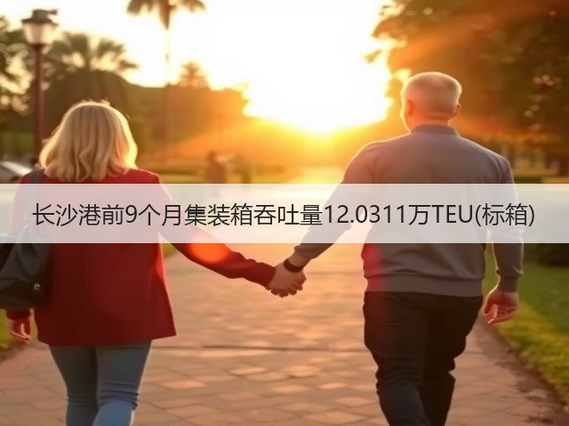 长沙港前9个月集装箱吞吐量12.0311万TEU(标箱)(图3)