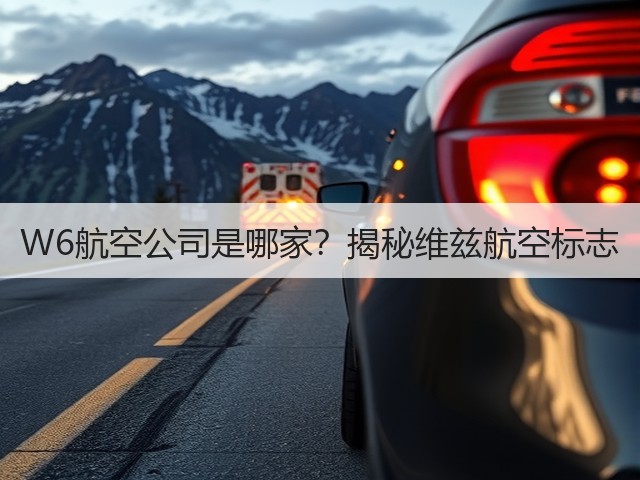 W6航空公司是哪家?揭秘维兹航空标志(图3) W6航空公司是哪家?揭秘维兹航空标志(图3)