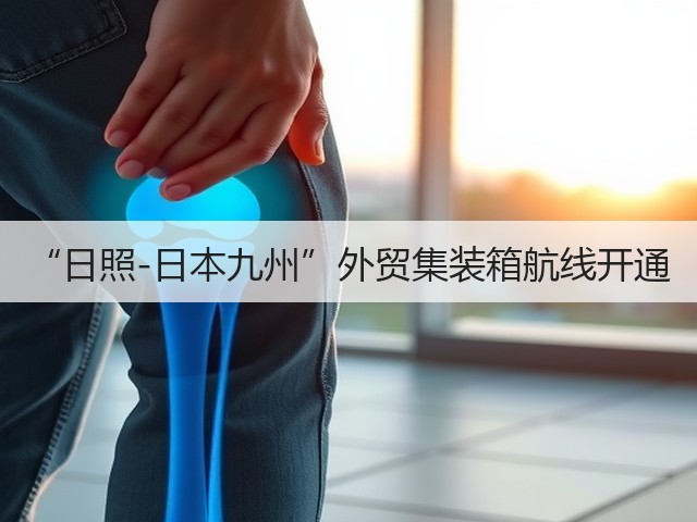 “日照-日本九州”外贸集装箱航线开通(图3) “日照-日本九州”外贸集装箱航线开通(图3)