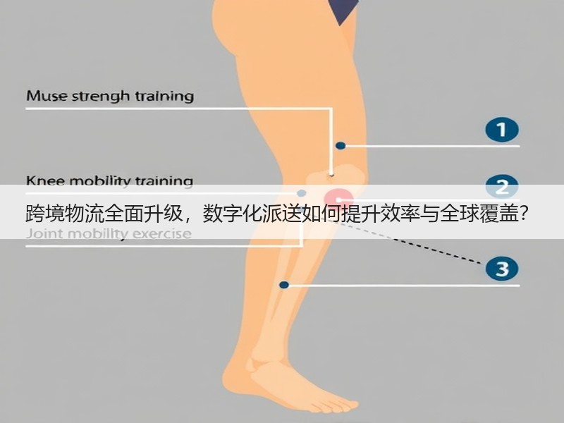 跨境物流全面升级,数字化派送如何提升效率与全球覆盖? 跨境物流全面升级,数字化派送如何提升效率与全球覆盖?