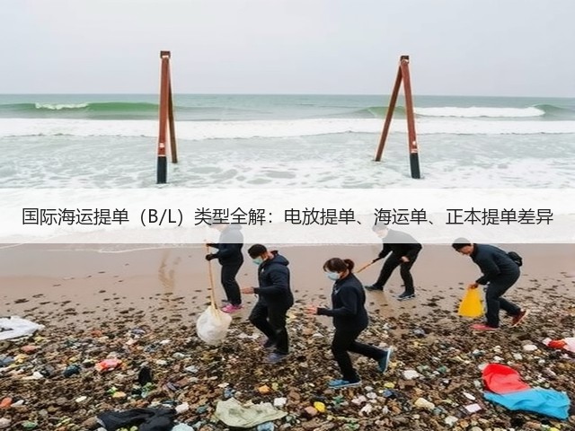国际海运提单（B/L）类型全解：电放提单、海运单、正本提单差异(图3)
