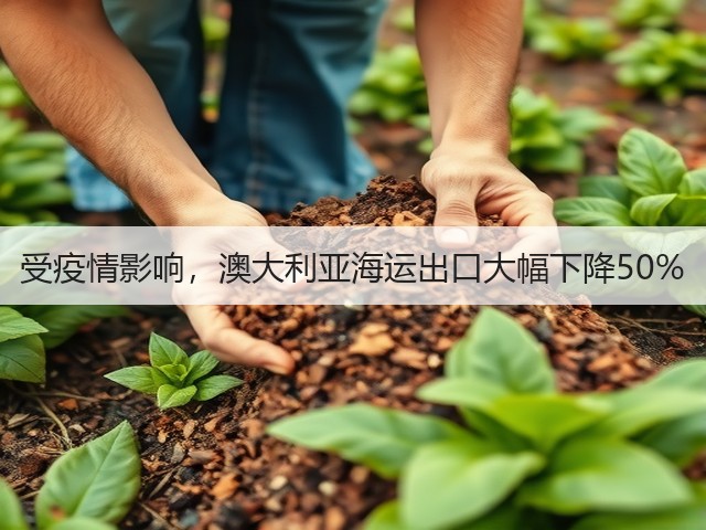 受疫情影响，澳大利亚海运出口大幅下降50%(图2)