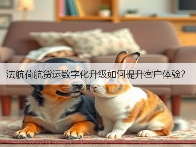 法航荷航货运数字化升级如何提升客户体验？(图1)