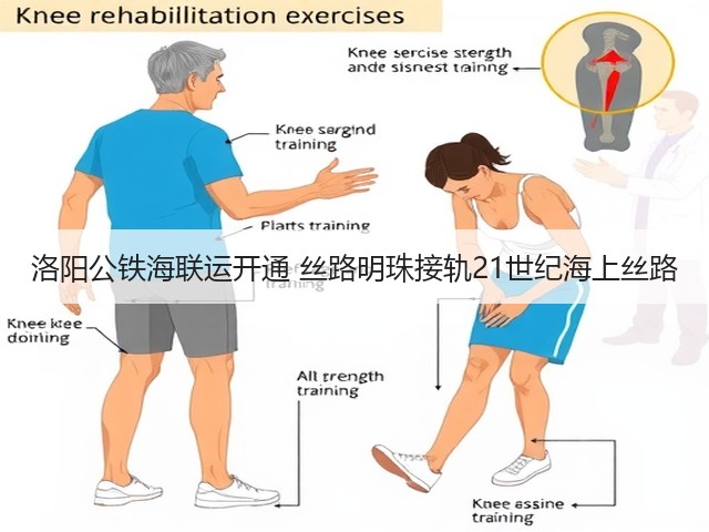 洛阳公铁海联运开通 丝路明珠接轨21世纪海上丝路(图3) 洛阳公铁海联运开通 丝路明珠接轨21世纪海上丝路(图3)