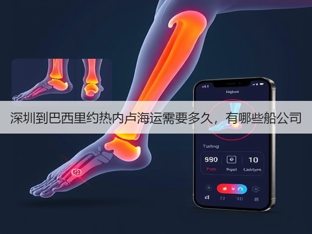 深圳到巴西里约热内卢海运需要多久,有哪些船公司(图2) 深圳到巴西里约热内卢海运需要多久,有哪些船公司(图2)