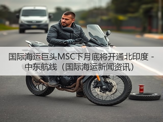 国际海运巨头MSC下月底将开通北印度 - 中东航线（国际海运新闻资讯）(图3)