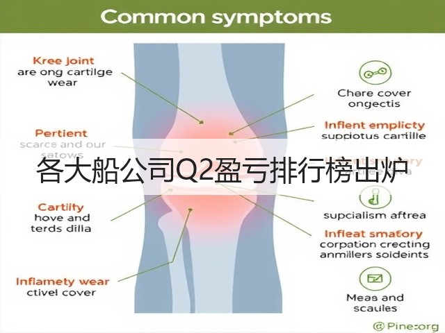各大船公司Q2盈亏排行榜出炉(图2) 各大船公司Q2盈亏排行榜出炉(图2)
