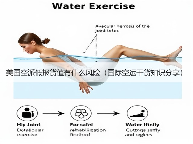 美国空派低报货值有什么风险(国际空运干货知识分享)(图2) 美国空派低报货值有什么风险(国际空运干货知识分享)(图2)