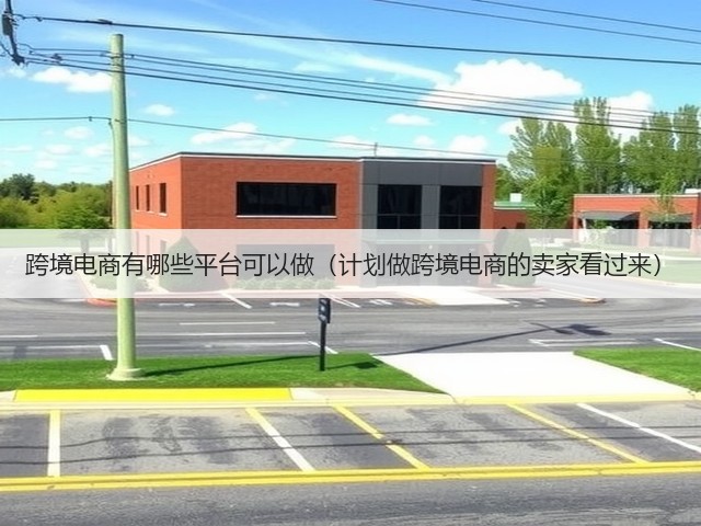 跨境电商有哪些平台可以做（计划做跨境电商的卖家看过来）(图3)