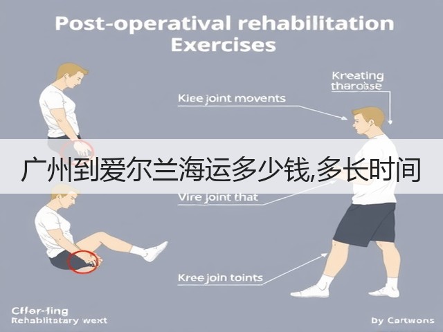 广州到爱尔兰海运多少钱,多长时间(图2) 广州到爱尔兰海运多少钱,多长时间(图2)