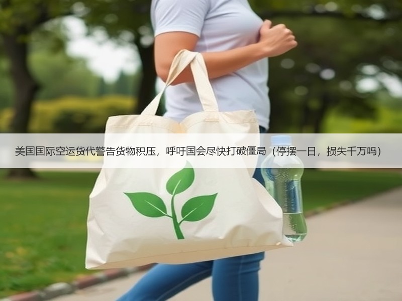美国国际空运货代警告货物积压,呼吁国会尽快打破僵局(停摆一日,损失千万吗) 美国国际空运货代警告货物积压,呼吁国会尽快打破僵局(停摆一日,损失千万吗)
