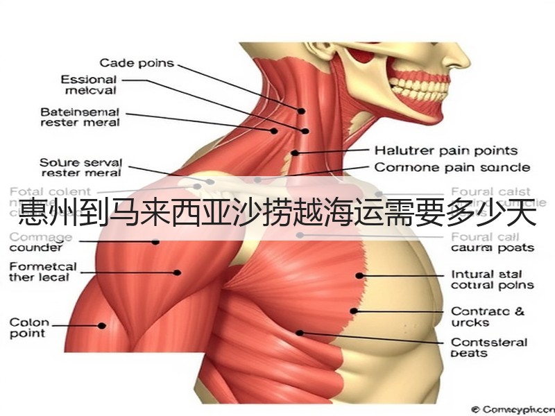 惠州到马来西亚沙捞越海运需要多少天 惠州到马来西亚沙捞越海运需要多少天