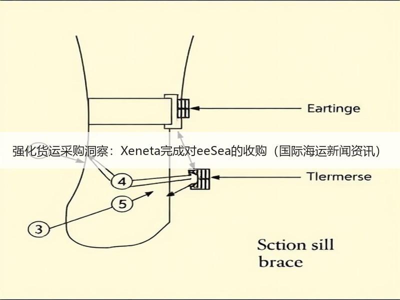 强化货运采购洞察:Xeneta完成对eeSea的收购(国际海运新闻资讯) 强化货运采购洞察:Xeneta完成对eeSea的收购(国际海运新闻资讯)