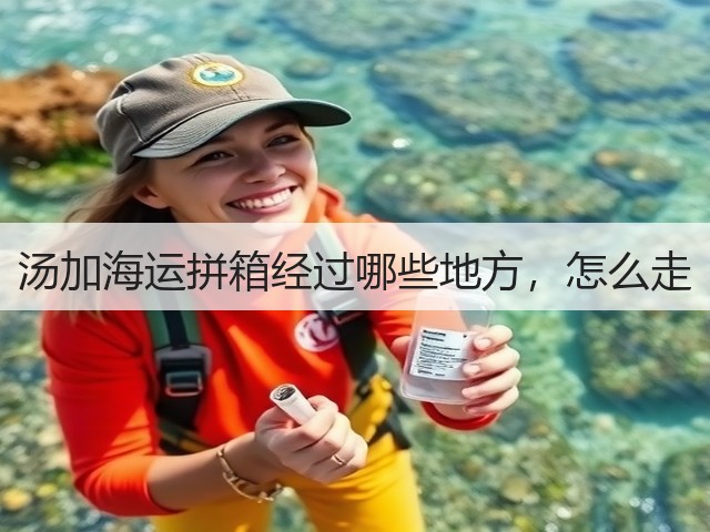 汤加海运拼箱经过哪些地方，怎么走(图2)