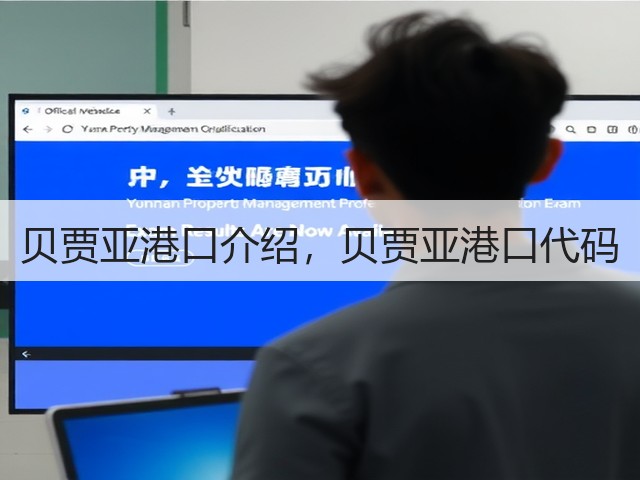 贝贾亚港口介绍,贝贾亚港口代码(图2) 贝贾亚港口介绍,贝贾亚港口代码(图2)