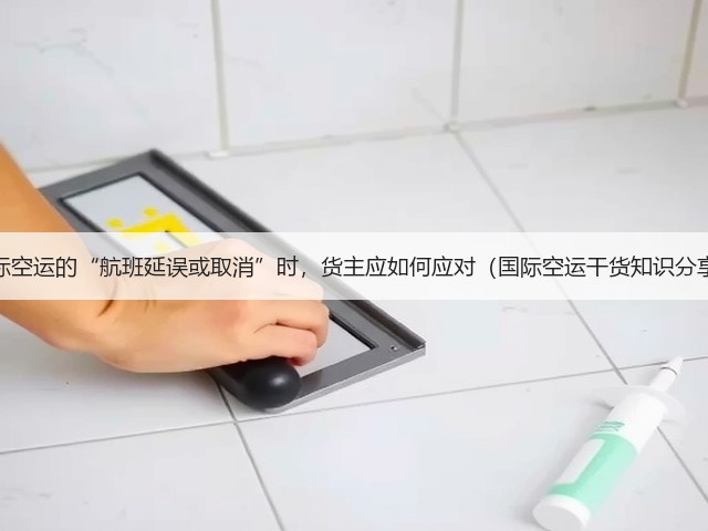 国际空运的“航班延误或取消”时,货主应如何应对(国际空运干货知识分享)(图2) 国际空运的“航班延误或取消”时,货主应如何应对(国际空运干货知识分享)(图2)