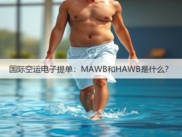 国际空运电子提单:MAWB和HAWB是什么?(图3) 国际空运电子提单:MAWB和HAWB是什么?(图3)