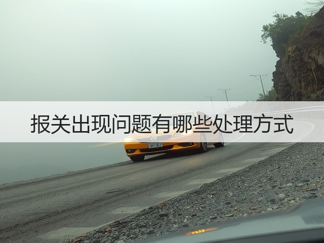 报关出现问题有哪些处理方式(图1) 报关出现问题有哪些处理方式(图1)