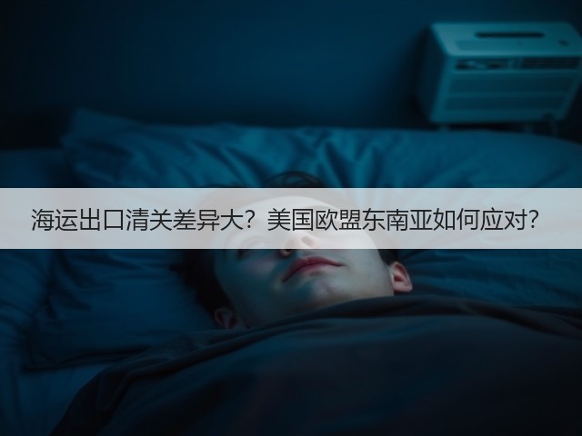 海运出口清关差异大？美国欧盟东南亚如何应对？(图3)