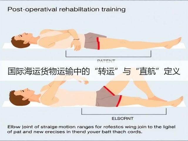 国际海运货物运输中的“转运”与“直航”定义(图2)