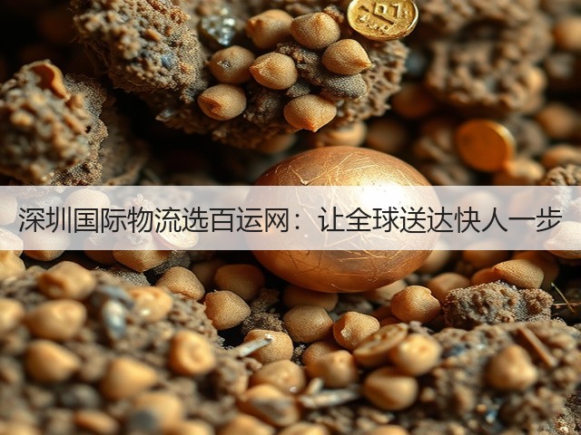 深圳国际物流选百运网:让全球送达快人一步(图3) 深圳国际物流选百运网:让全球送达快人一步(图3)