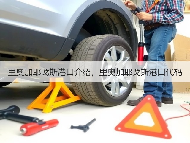 里奥加耶戈斯港口介绍,里奥加耶戈斯港口代码(图1) 里奥加耶戈斯港口介绍,里奥加耶戈斯港口代码(图1)