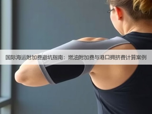 国际海运附加费避坑指南:燃油附加费与港口拥挤费计算案例(图2) 国际海运附加费避坑指南:燃油附加费与港口拥挤费计算案例(图2)