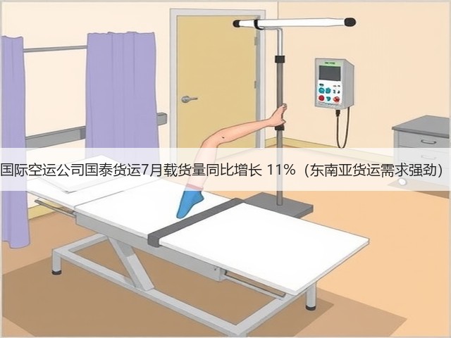 国际空运公司国泰货运7月载货量同比增长 11%(东南亚货运需求强劲)(图3) 国际空运公司国泰货运7月载货量同比增长 11%(东南亚货运需求强劲)(图3)