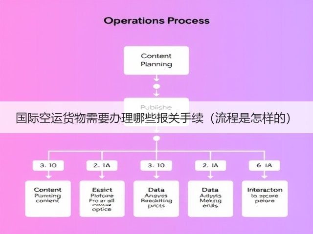 国际空运货物需要办理哪些报关手续（流程是怎样的）(图3)