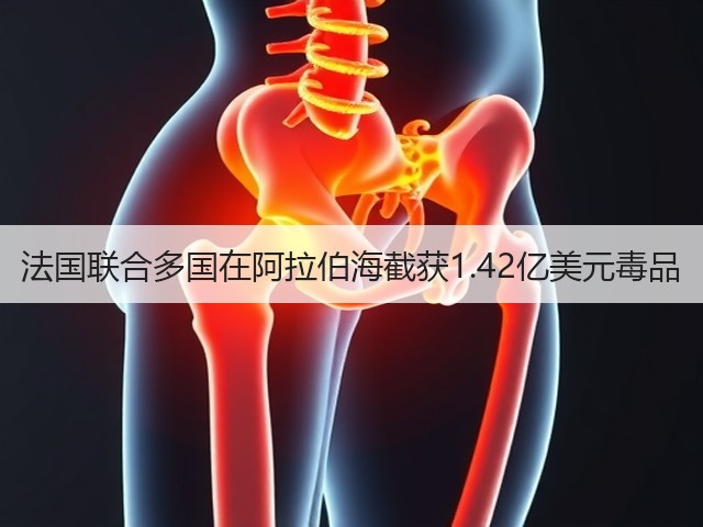 法国联合多国在阿拉伯海截获1.42亿美元毒品(图1)