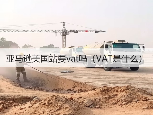 亚马逊美国站要vat吗(VAT是什么)(图2) 亚马逊美国站要vat吗(VAT是什么)(图2)