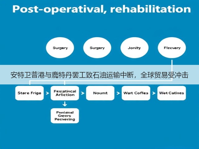 安特卫普港与鹿特丹罢工致石油运输中断,全球贸易受冲击(图1) 安特卫普港与鹿特丹罢工致石油运输中断,全球贸易受冲击(图1)