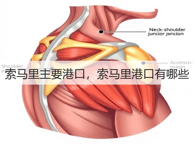 索马里主要港口,索马里港口有哪些(图2) 索马里主要港口,索马里港口有哪些(图2)