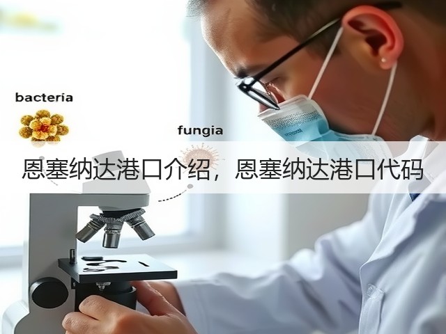 恩塞纳达港口介绍,恩塞纳达港口代码(图2) 恩塞纳达港口介绍,恩塞纳达港口代码(图2)