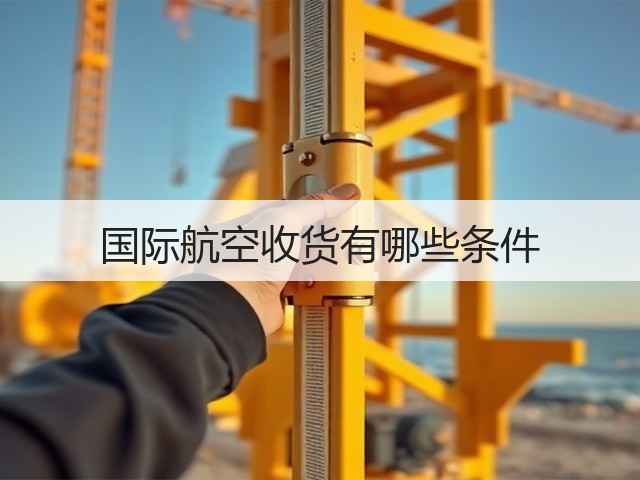 国际航空收货有哪些条件(图2) 国际航空收货有哪些条件(图2)